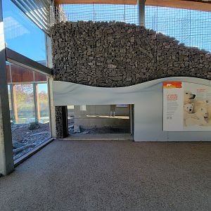 Aquarium du Quebec - Polar Bears, grass yard, den area