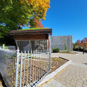 Aquarium du Quebec - Polar Bears, grass yard pavilion