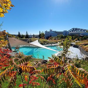 Aquarium du Quebec - Seal pool, with freshwater/saltwater building and Quebec Bridge in background