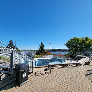 Aquarium du Quebec - old Harbor Seal pool