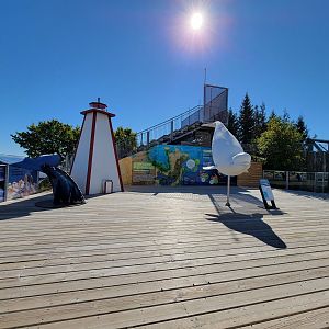Aquarium du Quebec - old Harbor Seal pool