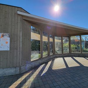 Aquarium du Quebec - Arctic Fox
