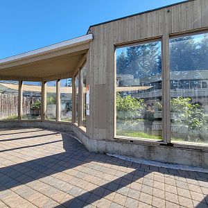Aquarium du Quebec - Arctic Fox