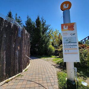 Aquarium du Quebec - Arctic Fox, closed path behind exhibit