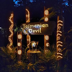 Tasmanian Devil exhibit marker