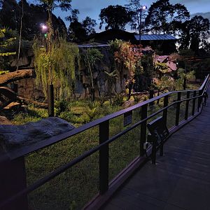Tasmanian Devil exhibit (outdoor enclosure 1)
