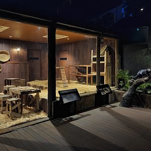 Tasmanian Devil exhibit (indoor enclosure 2)