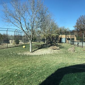 Pride of the Prairie