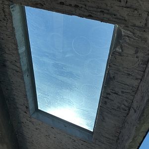 Pride of the Prairie