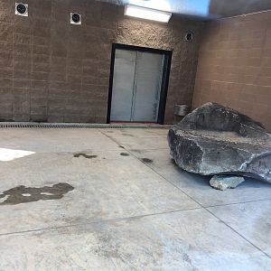 Pride of the Prairie