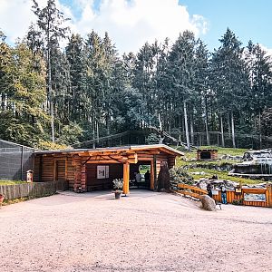 Brown Bear and Kamchak Bear