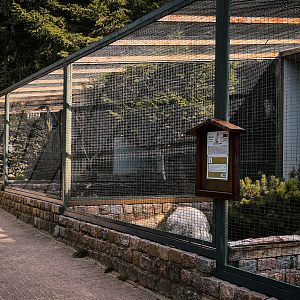 Owl Aviaries
