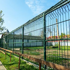 enclosure of Brown bears - parents