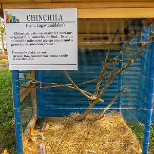 Enclosure of Chinchilla