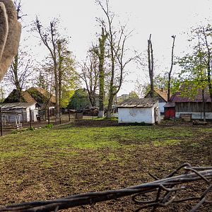 Enclosure of Carpathian Red Deer