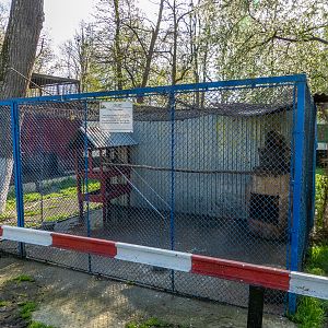 Enclosure of coatis