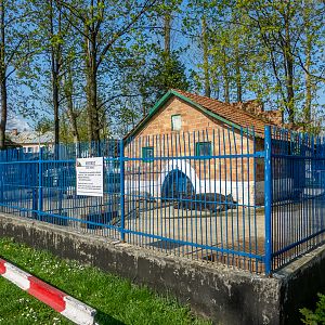 Enclosure of Caucasian boar