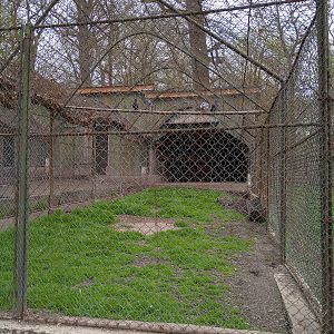 Enclosure of doves