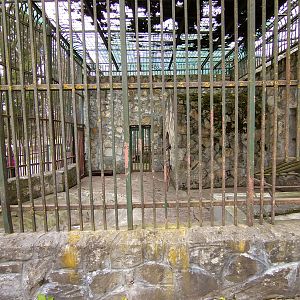 Enclosure of porcupine