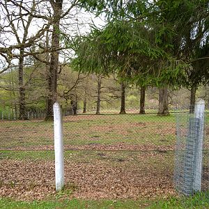Enclosure of Carpathian red deer