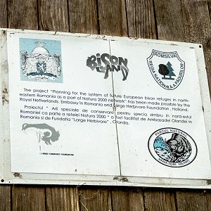 Sign about European Bison