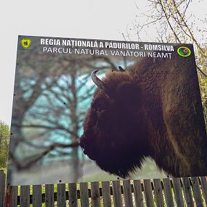 Sign of the sanctuary