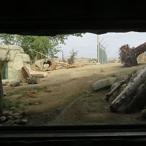 Bobcat Exhibit
