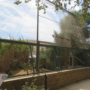Desert Tortoise Enclosure