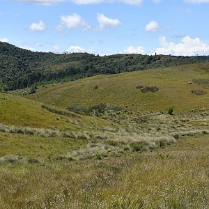 Campos de altitude (altitude fields)