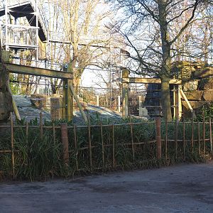 Asian elephant feeding and enrichment area near snow leopard exhibit, 2022-02-12