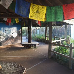 Snow leopard viewing area, 2022-02-12