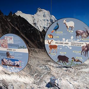 Example of signage on snow leopard education wall - Habitat and prey species, 2022-02-12