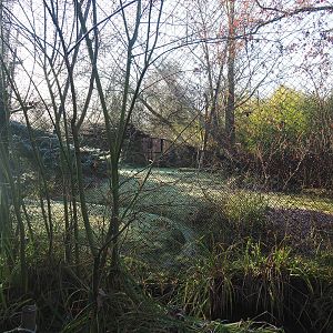 Part of snow leopard exhibit, 2022-02-12
