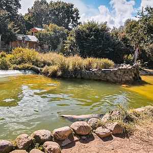 Very small Seal pond