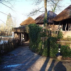 Entrance to cave underneath the African village with views of bonobo island, bonobo indoor housing and mongoose dens, 2022-02-12