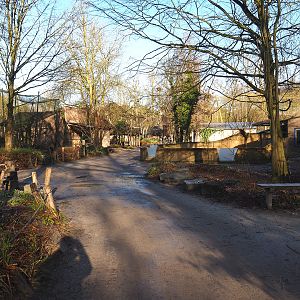 Walkway between weaver aviary and Cape porcupine exhibit, 2022-02-12
