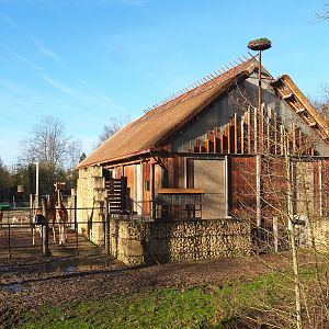 Kordofan giraffe house and hardstand, 2022-02-12