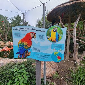 Stone Zoo 7/22 - Caribbean Coast signage