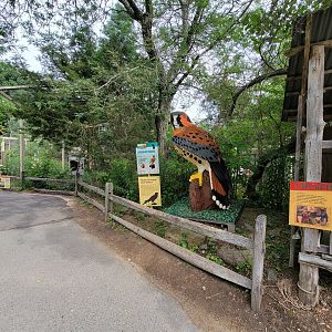 Stone Zoo 7/22 - Entering Treasures of the Sierra Madre