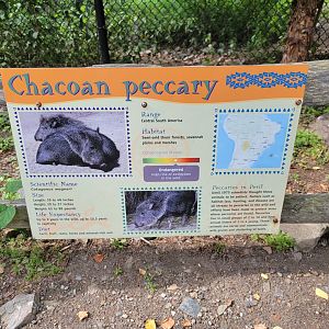 Stone Zoo 7/22 - Treasures of the Sierra Madre signage