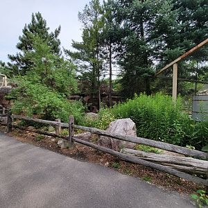 Stone Zoo 7/22 - Treasures of the Sierra Madre