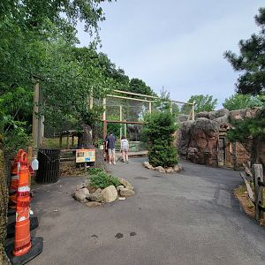 Stone Zoo 7/22 - Treasures of the Sierra Madre, Cougar exhibit