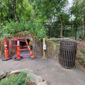 Stone Zoo 7/22 - Closed children's tunnel to view the peccary