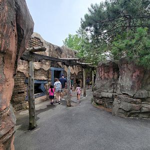 Stone Zoo 7/22 - Herp windows