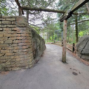Stone Zoo 7/22 - Treasures of the Sierra Madre path