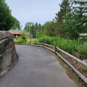 Stone Zoo 7/22 - Path