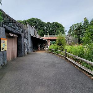 Stone Zoo 7/22 - Treasures of the Sierra Madre