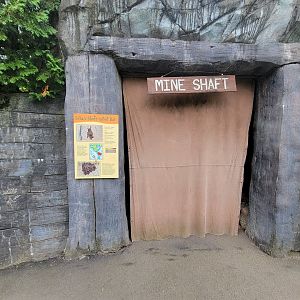 Stone Zoo 7/22 - Seba's short-tailed bat