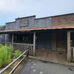 Stone Zoo 7/22 - Treasures of the Sierra Madre