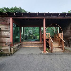 Stone Zoo 7/22 - Jaguar